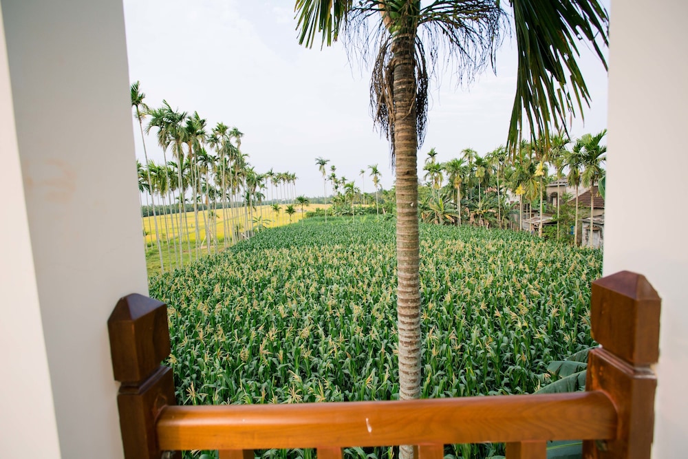 new sunshine homestay