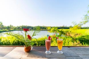 new sunshine homestay