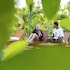 new sunshine homestay