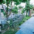 new sunshine homestay