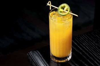 signia by hilton san jose