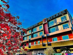 city garden hotel