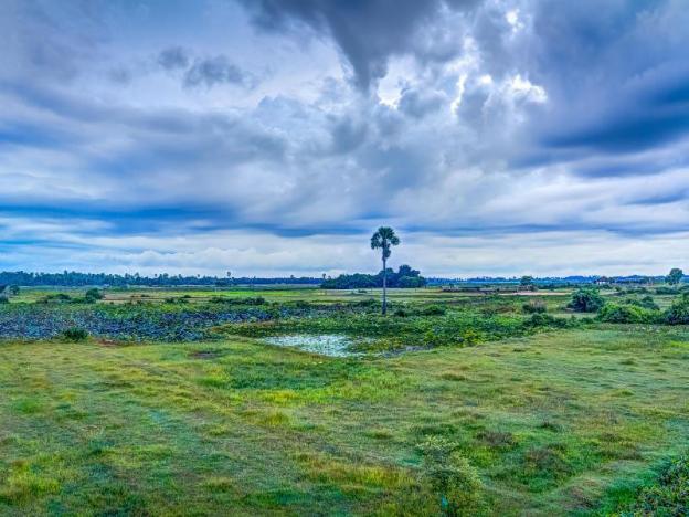 rys lotus resort dangkor