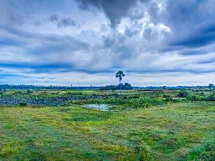 rys lotus resort dangkor