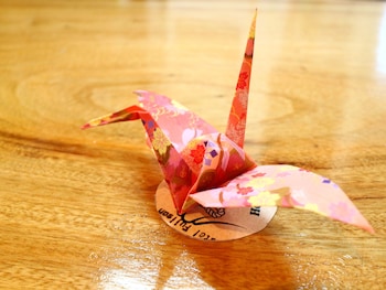 Hostel Fujisan You,Fujikawaguchiko>>Fuefuki,2 star