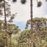 campos do jordao
