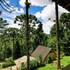 campos do jordao