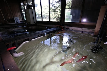 mizuno ryokan