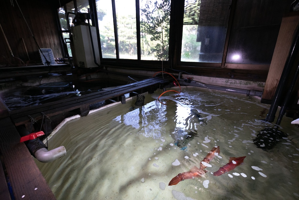 mizuno ryokan