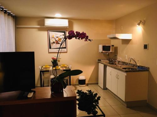 brasilia