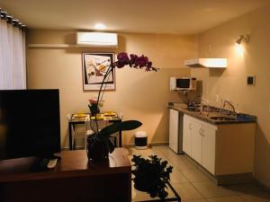brasilia