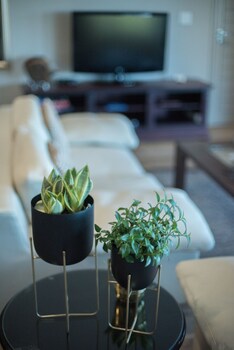 vrede self catering