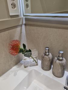 vrede self catering