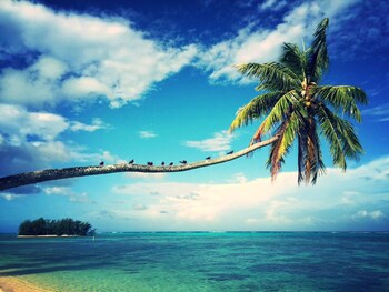 Moorea Beach Lodge,Moorea-Maiao>>Moorea,4 star