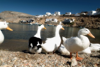 sifnos