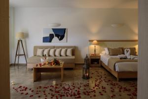 aliter suites