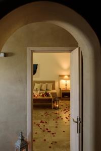 aliter suites