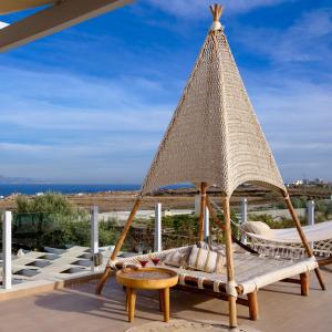 aliter suites