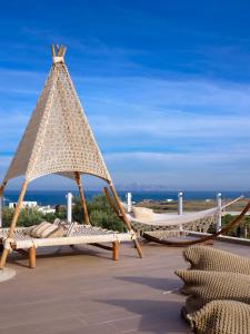 aliter suites