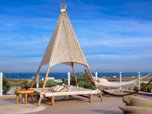 aliter suites