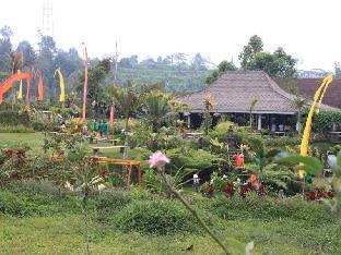 Warung Rekreasi Bedugul,Near Ulun Danu Temple,3 star