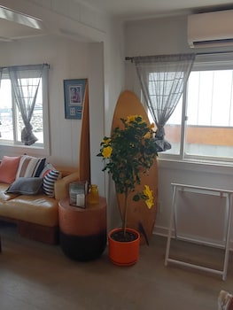 york beach surf club