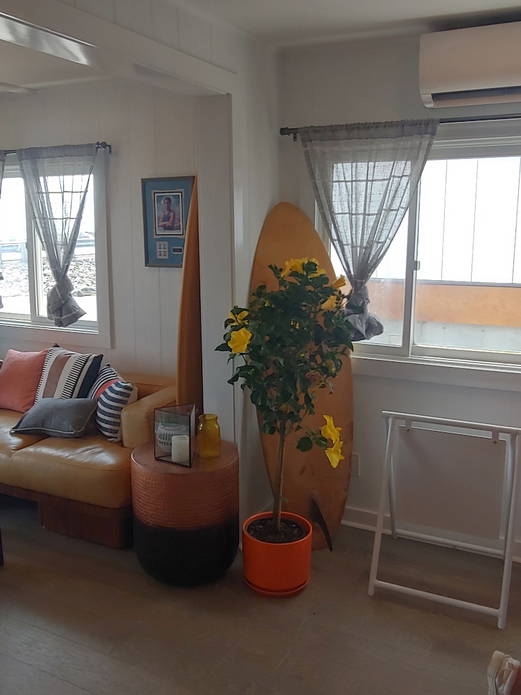 york beach surf club