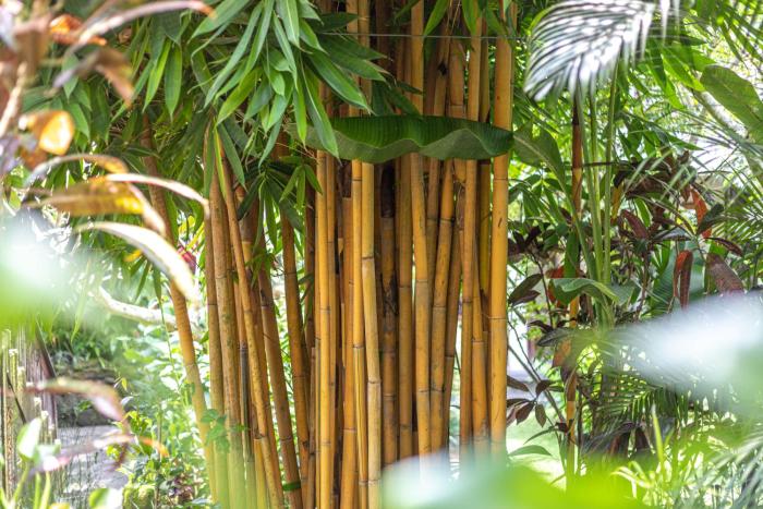 meruhdani boutique hotel ubud