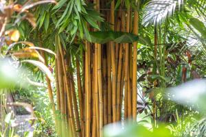 meruhdani boutique hotel ubud
