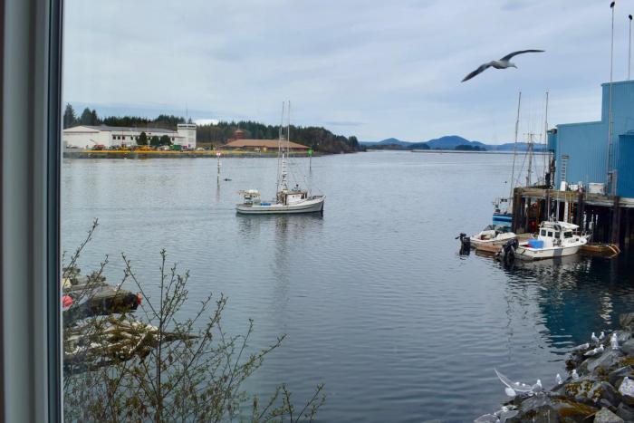 sitka