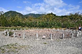 kenting dajianshan wilderness bungalow