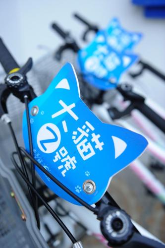 the forget worry villa