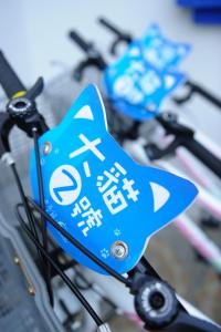 the forget worry villa