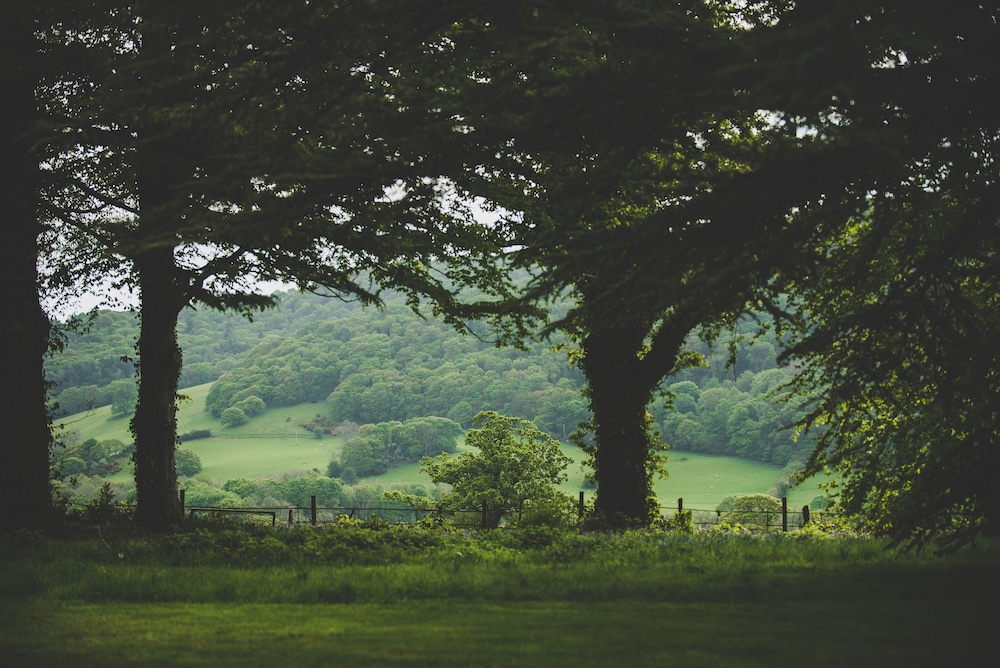 caer rhun hall hotel