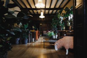 caer rhun hall hotel