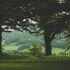 caer rhun hall hotel
