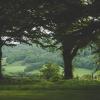 caer rhun hall hotel