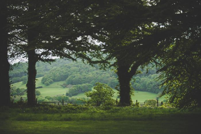 caer rhun hall hotel