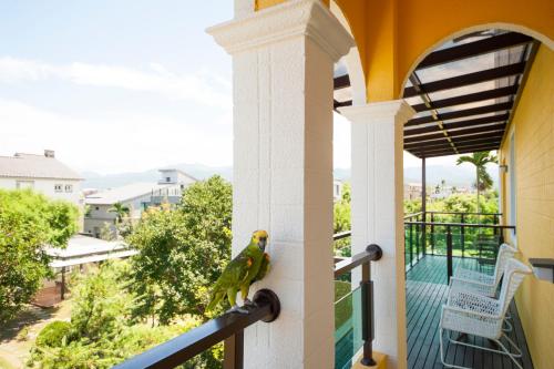 little sunshine bandb