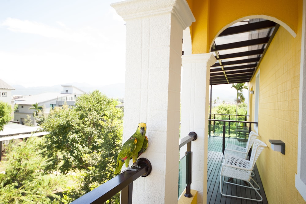 little sunshine bandb