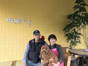 little sunshine bandb