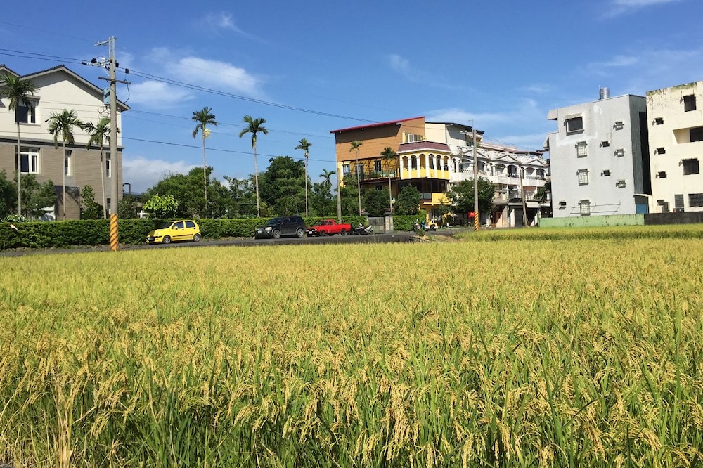 little sunshine bandb