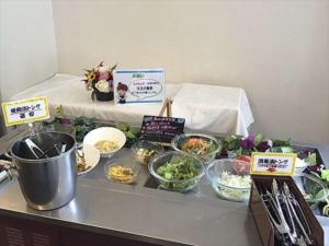 green rich hotel osaka airport