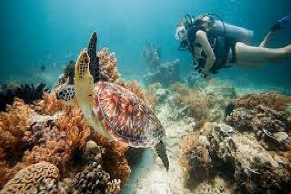 gili breeze tropical bungalows