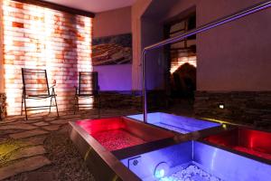 spa hotel anglicky dvur