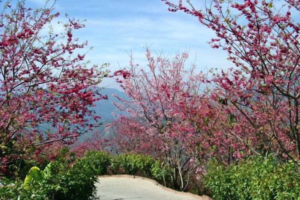 tzu hsin garden