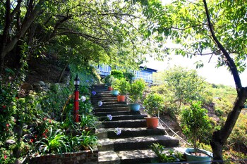 tzu hsin garden