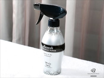 daiwa roynet hotel kyoto ekimae premier