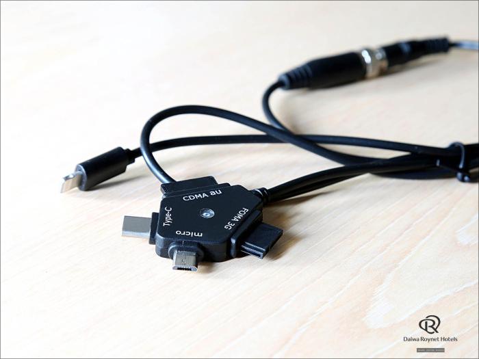 daiwa roynet hotel kyoto ekimae premier