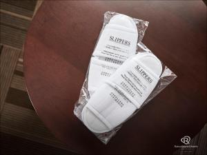 daiwa roynet hotel kyoto ekimae premier